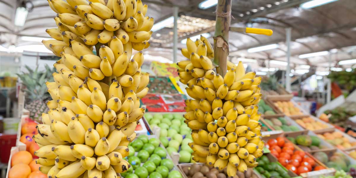 Ijang - Cold Chain Storage Logistics Solutions For Meat Processing ...