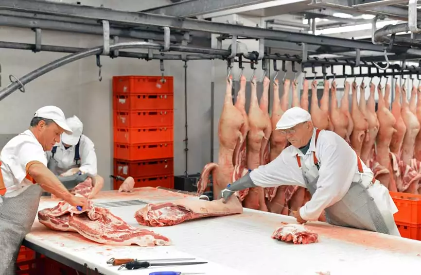 Ijang JulyCold Chain Storage Logistics Solutions For Meat Processing & Fresh Produce-02